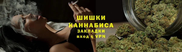 шишки Аркадак