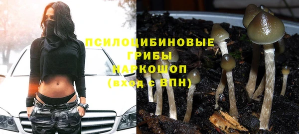 Альфа ПВП Алексеевка
