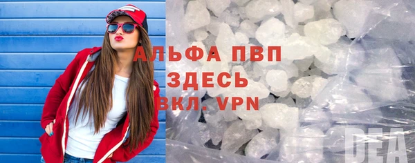 шишки Аркадак