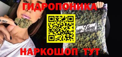 шишки Коммунар