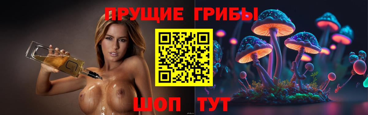 Волгодонск  Галлюциногенные грибы мицелий  Галлюциногенные грибы Psilocybine cubensis  Вход с VPN 